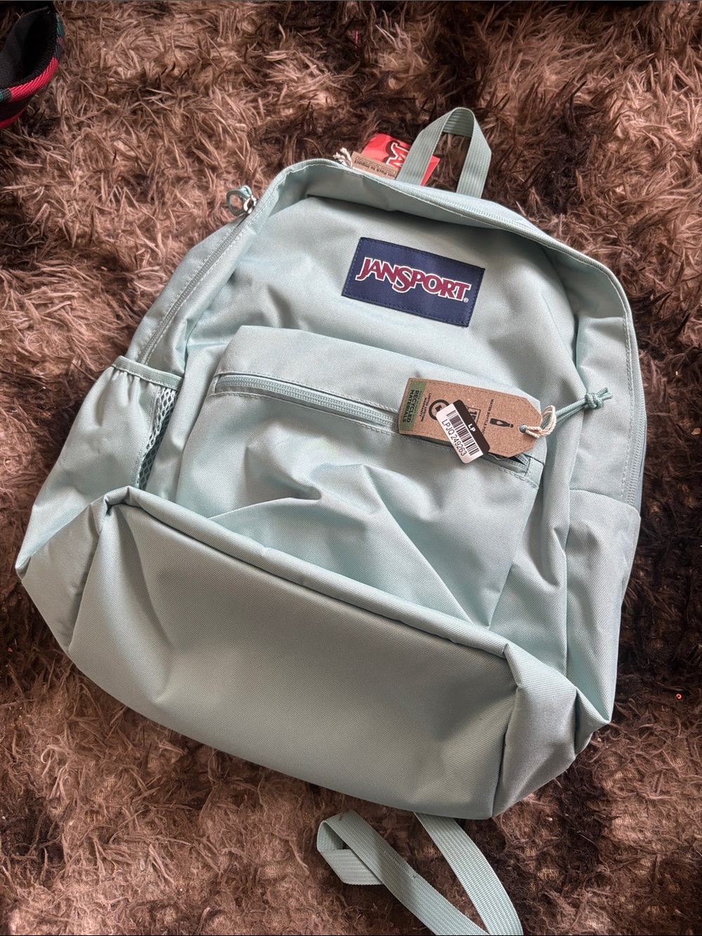 Jansport Mint Green Everyday Backpack